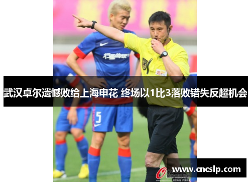 武汉卓尔遗憾败给上海申花 终场以1比3落败错失反超机会