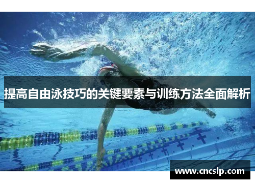 提高自由泳技巧的关键要素与训练方法全面解析