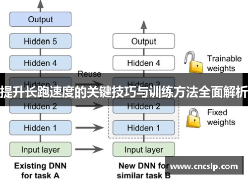 提升长跑速度的关键技巧与训练方法全面解析