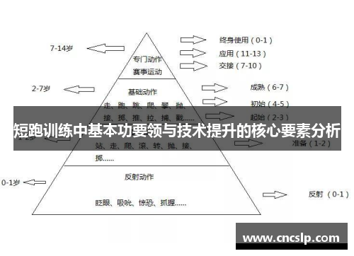 短跑训练中基本功要领与技术提升的核心要素分析