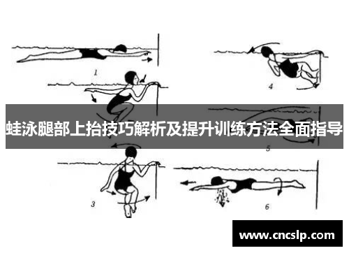 蛙泳腿部上抬技巧解析及提升训练方法全面指导
