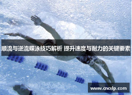 顺流与逆流蝶泳技巧解析 提升速度与耐力的关键要素