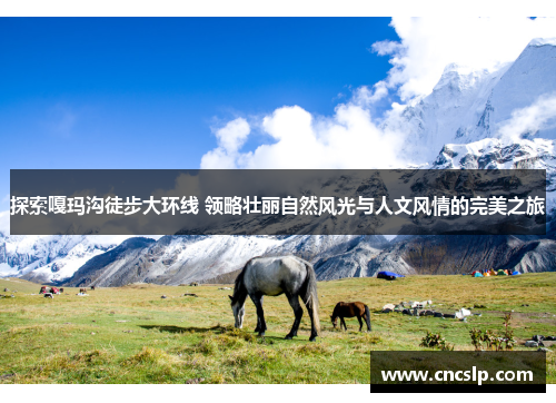 探索嘎玛沟徒步大环线 领略壮丽自然风光与人文风情的完美之旅