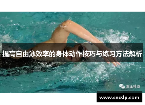 提高自由泳效率的身体动作技巧与练习方法解析