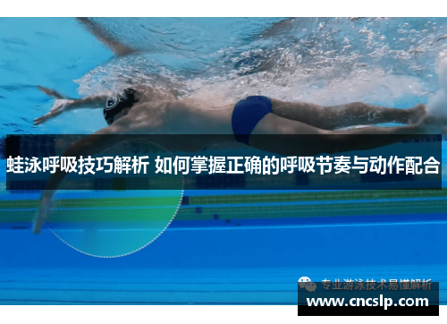 蛙泳呼吸技巧解析 如何掌握正确的呼吸节奏与动作配合