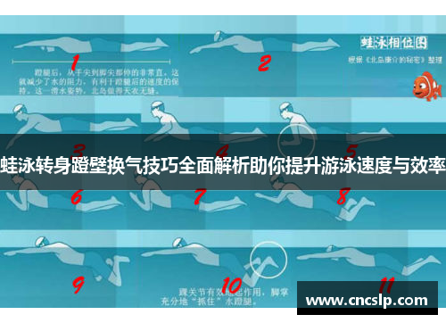 蛙泳转身蹬壁换气技巧全面解析助你提升游泳速度与效率
